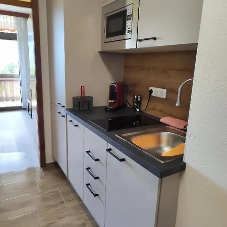 Bergpanorama Zum Grimming Pichlarn Διαμέρισμα *